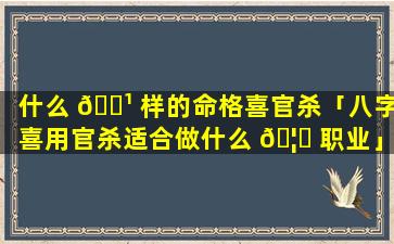 什么 🌹 样的命格喜官杀「八字喜用官杀适合做什么 🦈 职业」